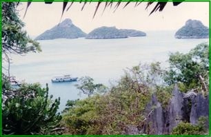 Im Naturschutzgebiet ,bei Kho Chang