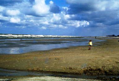 Die Nordsee,bei Ebbe -  St.Idesbald  Belgien