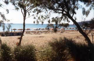 Zwischen Hotel und Strand die gepflegte Gartenanlage.