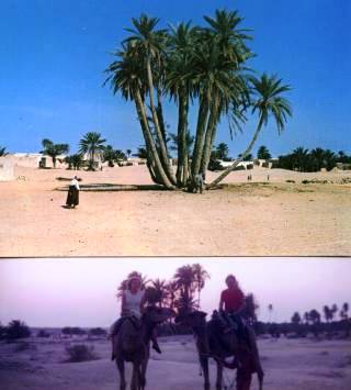 Im weiten Sden Tunesiens findet man ein goldenes Sandmeer  -  die SAHARA. Inzwischen  touristisch gut erschlossen. 