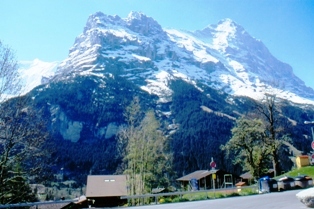 Wilderswil